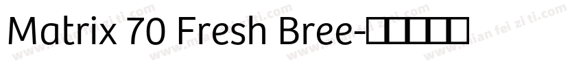 Matrix 70 Fresh Bree字体转换